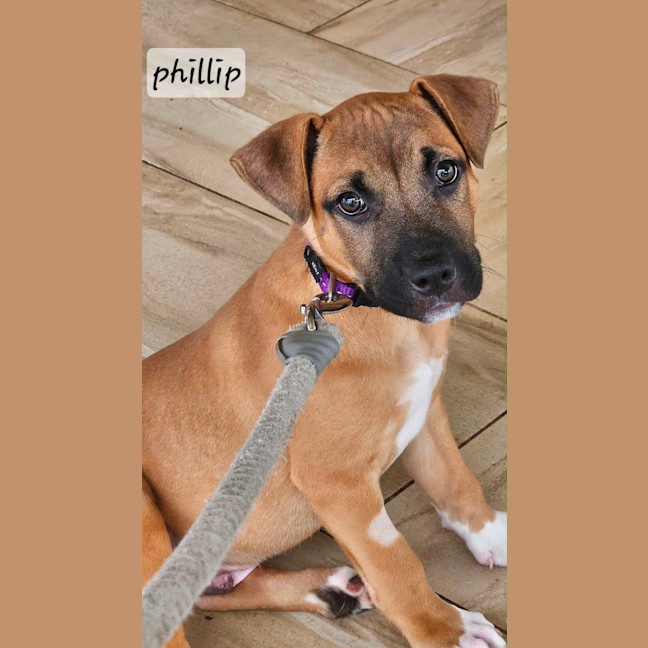 Photo of Phillip 