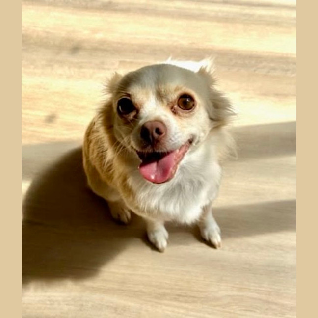 Photo of Oscar