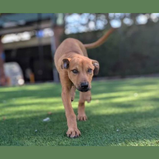 Photo of Winnie