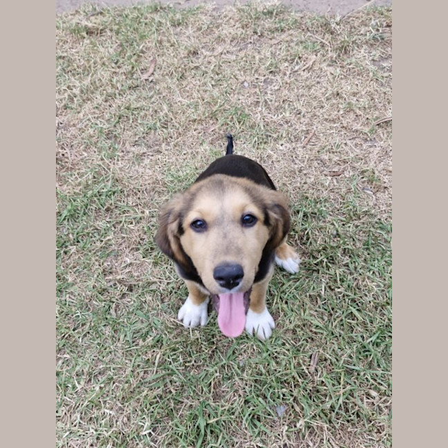 Photo of Milly