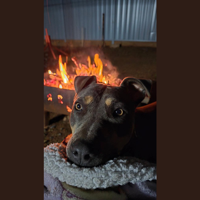 Photo of Nova