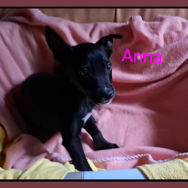Photo of Anna