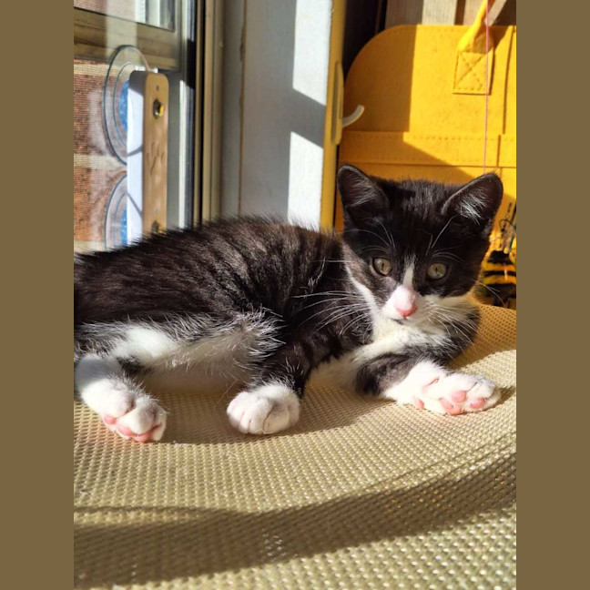 Photo of Bobbi