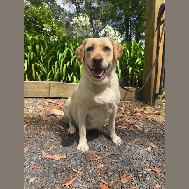 Photo of Hayleywaley