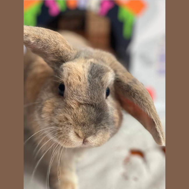 Photo of Monty