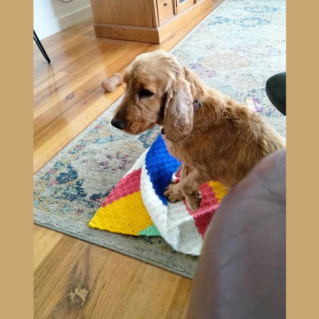 Photo of Mississippi