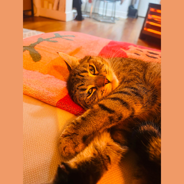 Photo of Baby 🌸