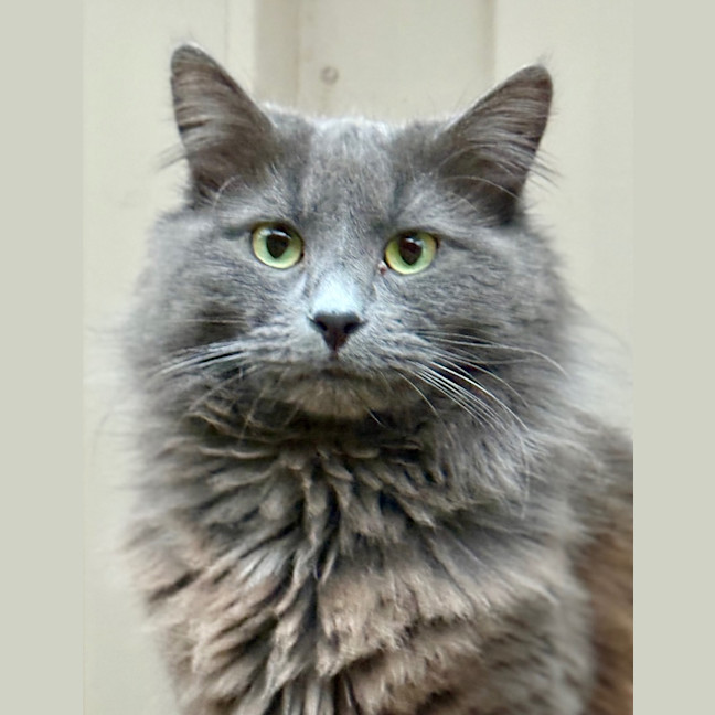 Photo of Anthony (Tony) Pawdain