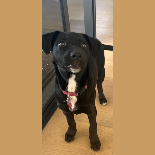 Photo of Maisy