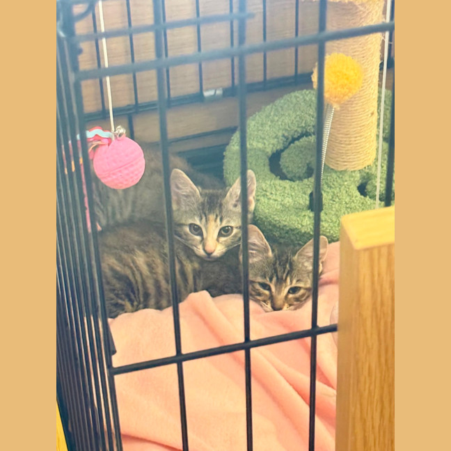 Photo of Minnie 🎀 & Winnie 🍯