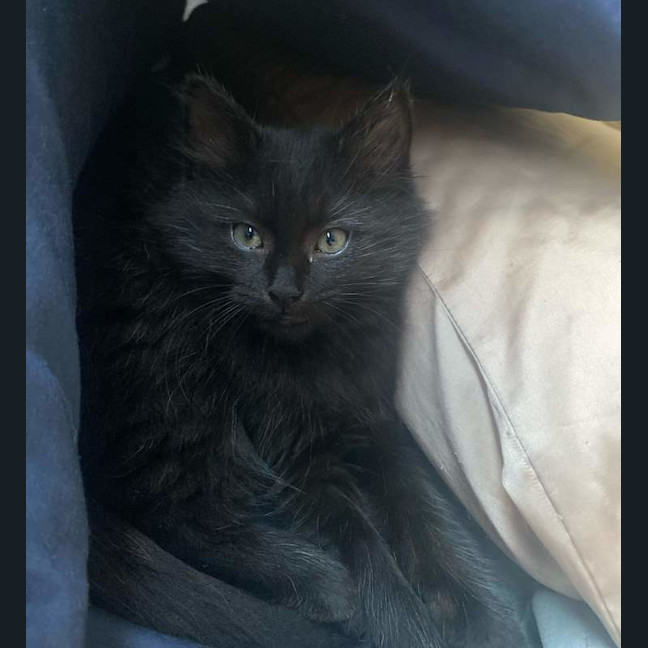 Photo of Spice