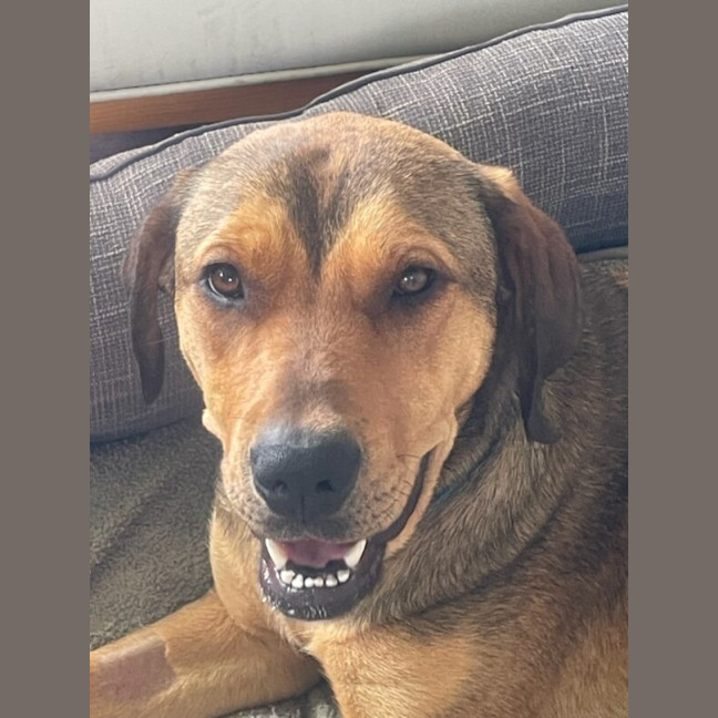 Photo of Lily