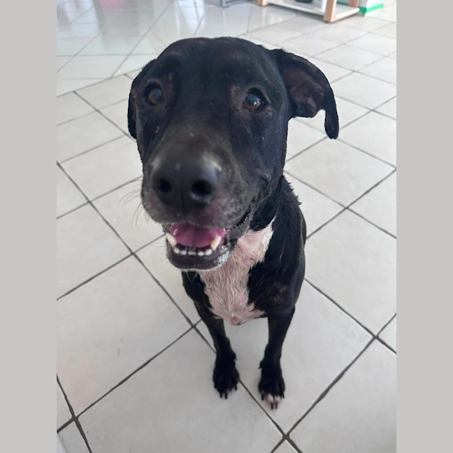 Photo of Roxy