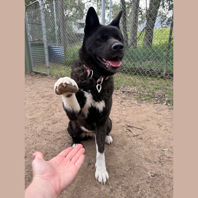Photo of Kita