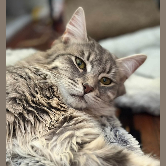 Photo of Blair