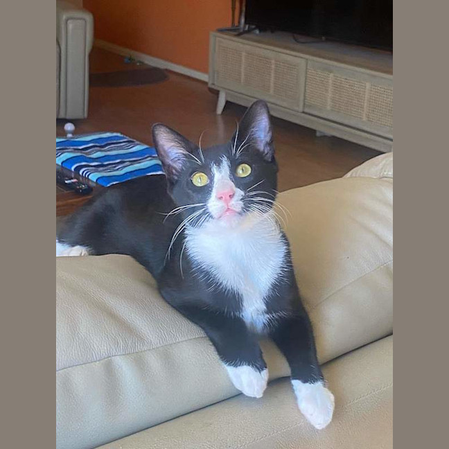 Photo of Batman