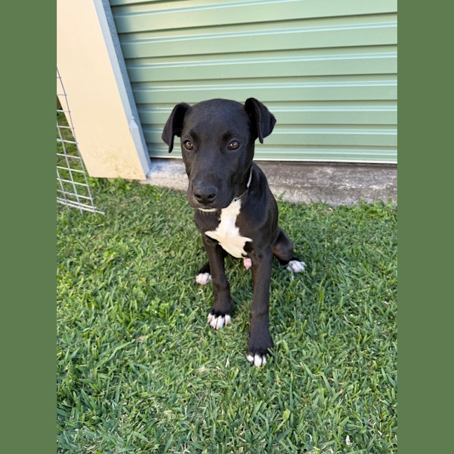 Photo of Guiness