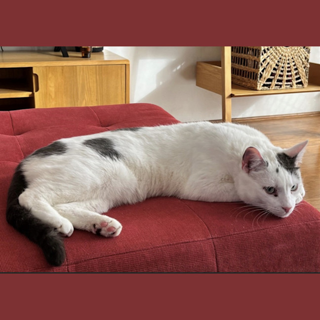 Photo of Earl Grey 