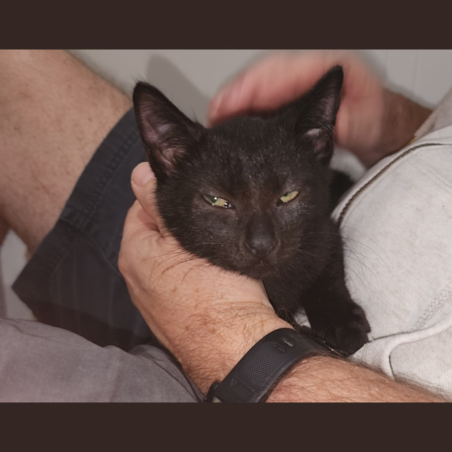 Photo of Buster
