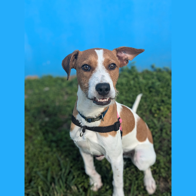 Photo of Mac 