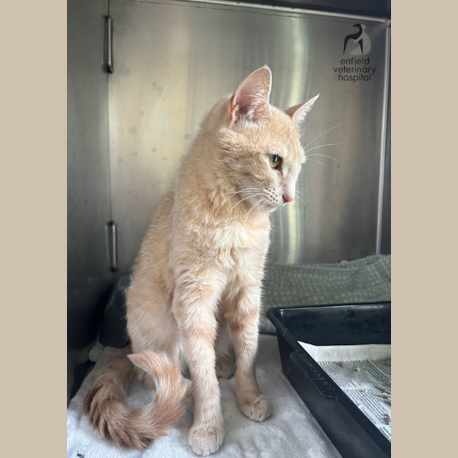 Photo of Happy Heidi