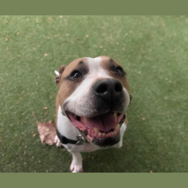 Photo of Roxy