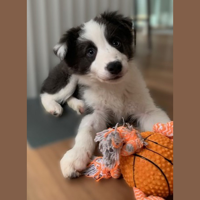 Photo of Benson