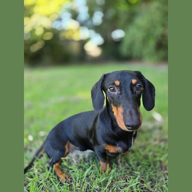 Photo of Kevin