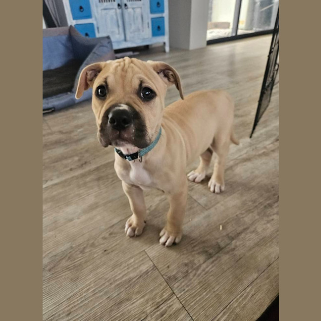 Photo of Neptune Nubs