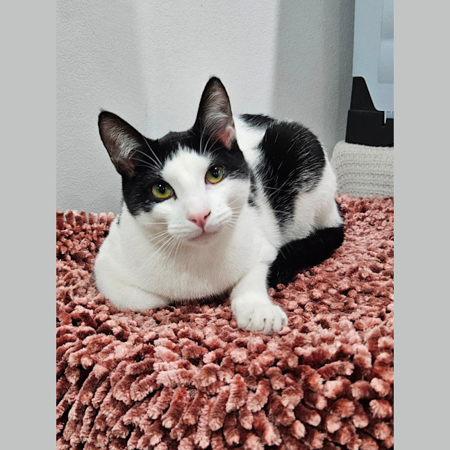 Photo of Mina