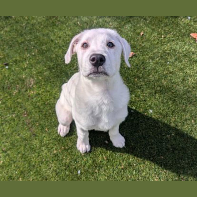 Photo of Barney