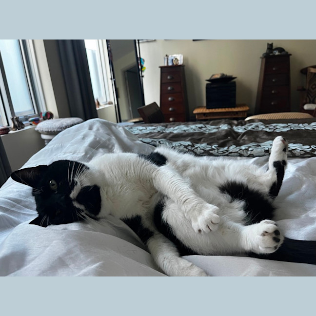 Photo of Munchkin Loves Apartment Living !