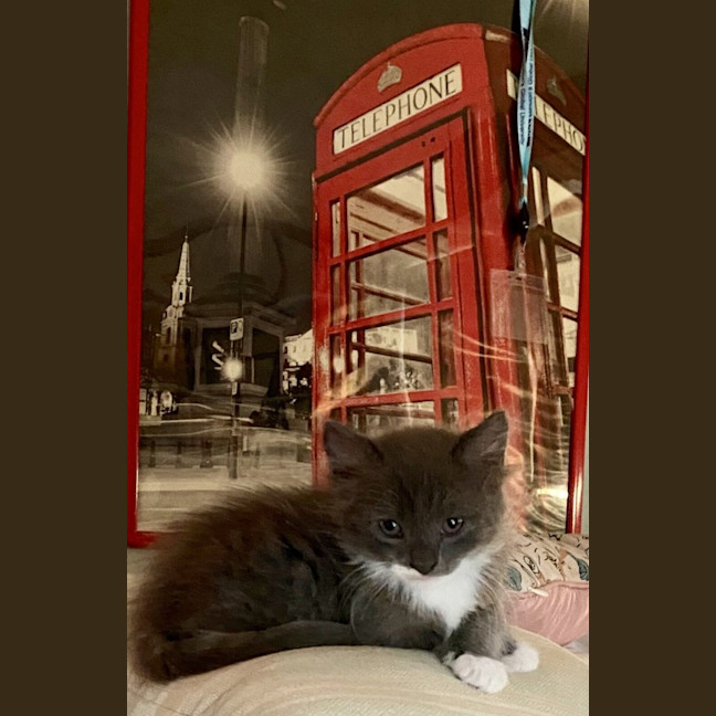 Photo of Erky