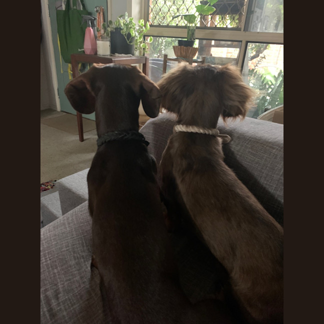 Photo of Norman And Nessa 