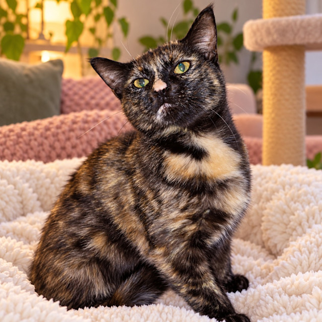 Photo of Muriel