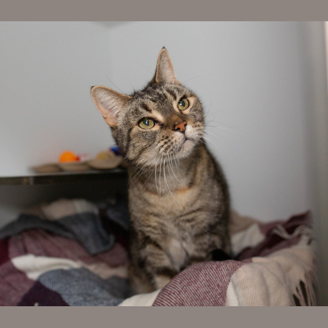 Photo of Bonnie