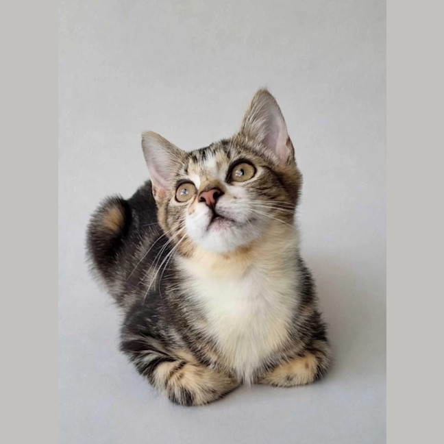 Photo of Elliette 