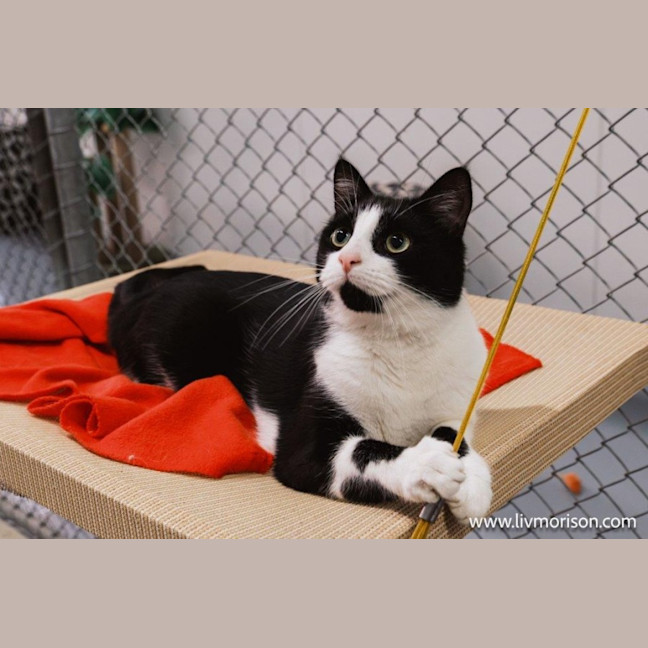 Photo of Jasper Picton