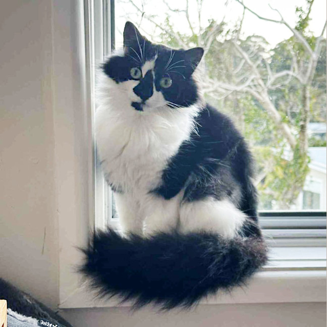 Photo of ❤️ Ruby ❤️