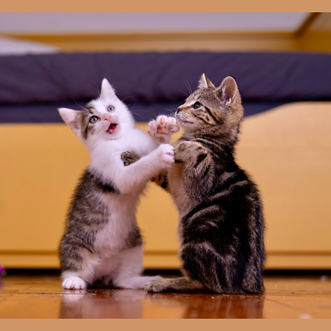 Photo of Lunchlady Doris