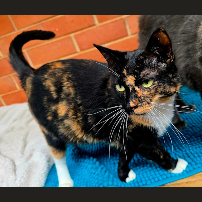 Photo of Dottie