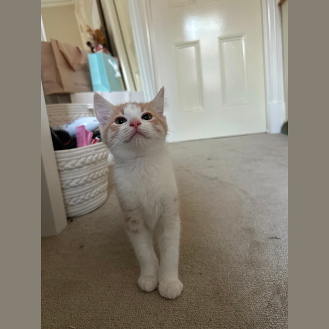 Photo of Moe