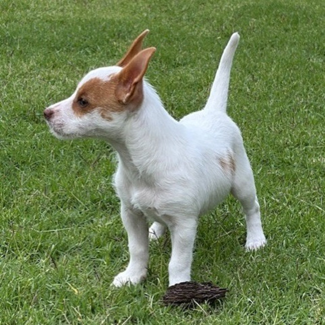 Photo of Minnie