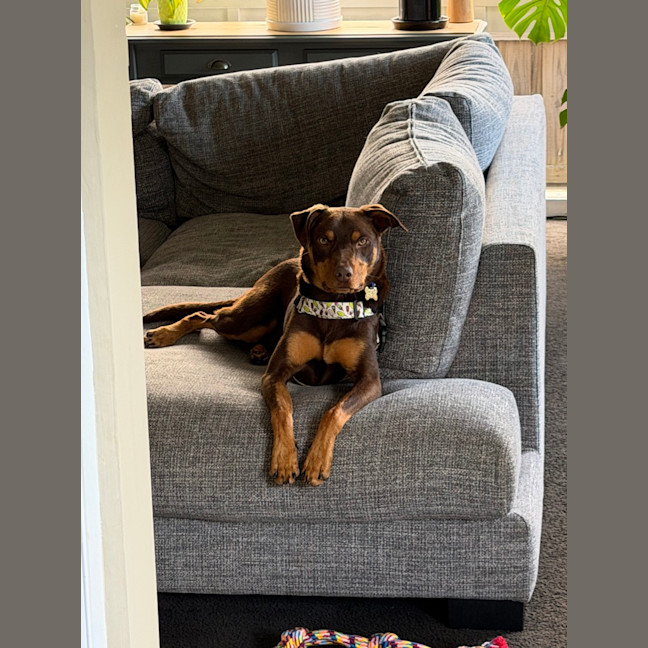 Photo of Otto