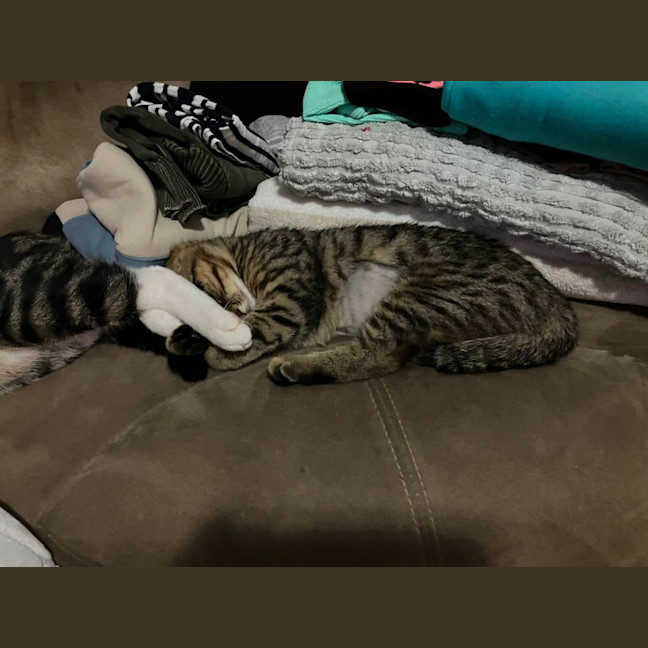 Photo of Chloe