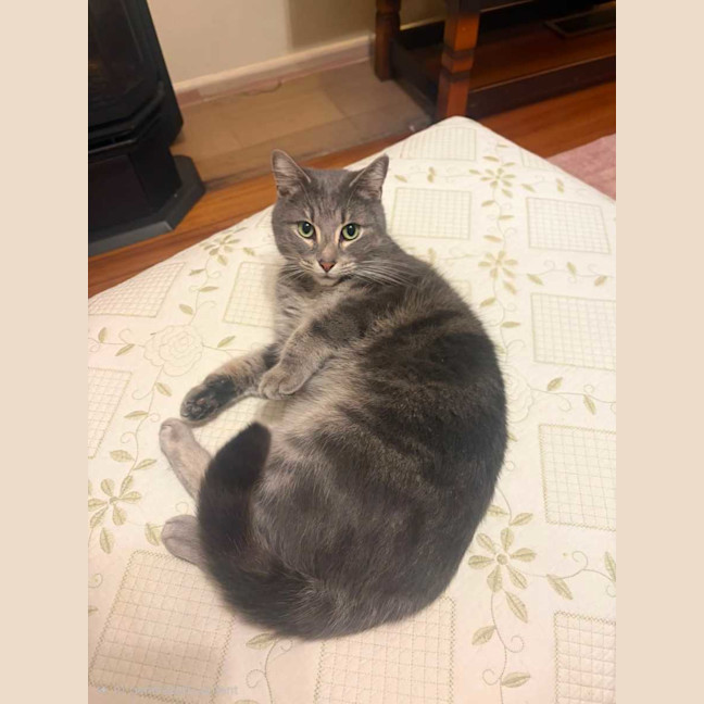 Photo of Beanie
