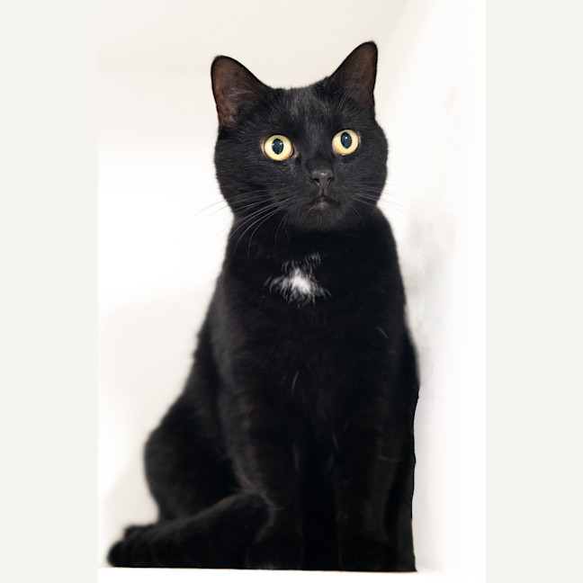 Photo of Betty
