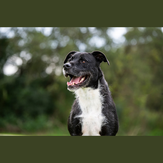 Photo of Snoop