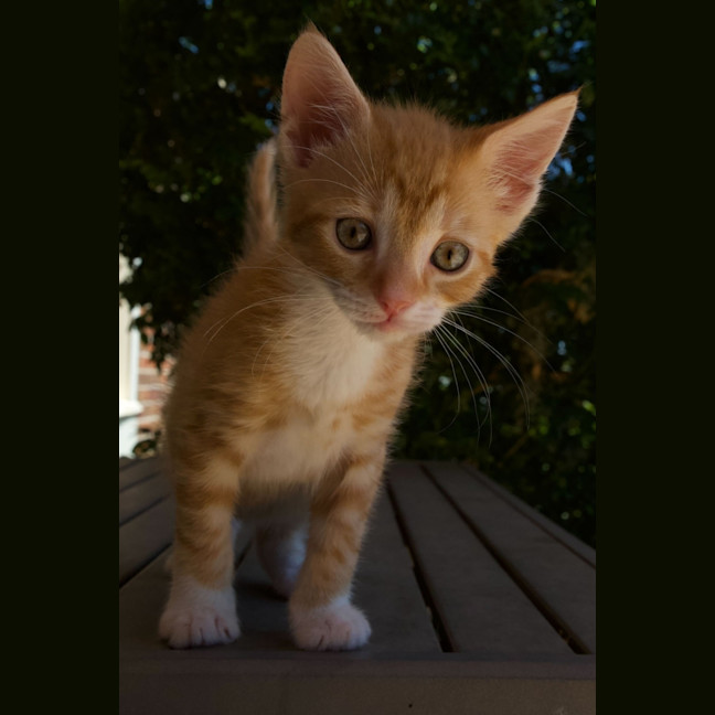 Photo of Carter & Nelson