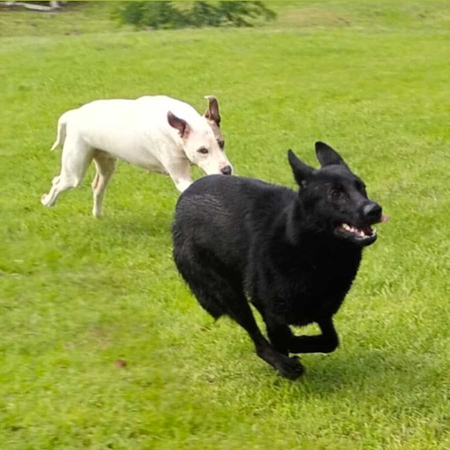 Photo of Queenie